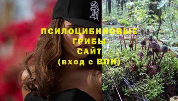 прущая мука Арсеньев
